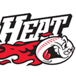 Image result for heat baseball logo